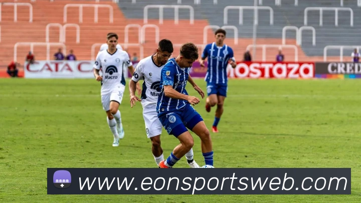 意昂体育平台生态图